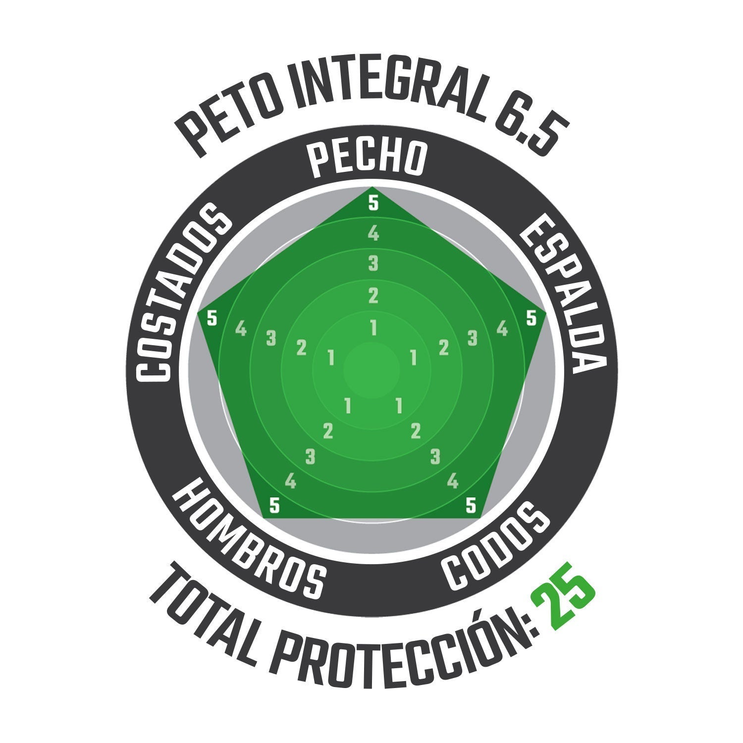 Peto Integral 6.5