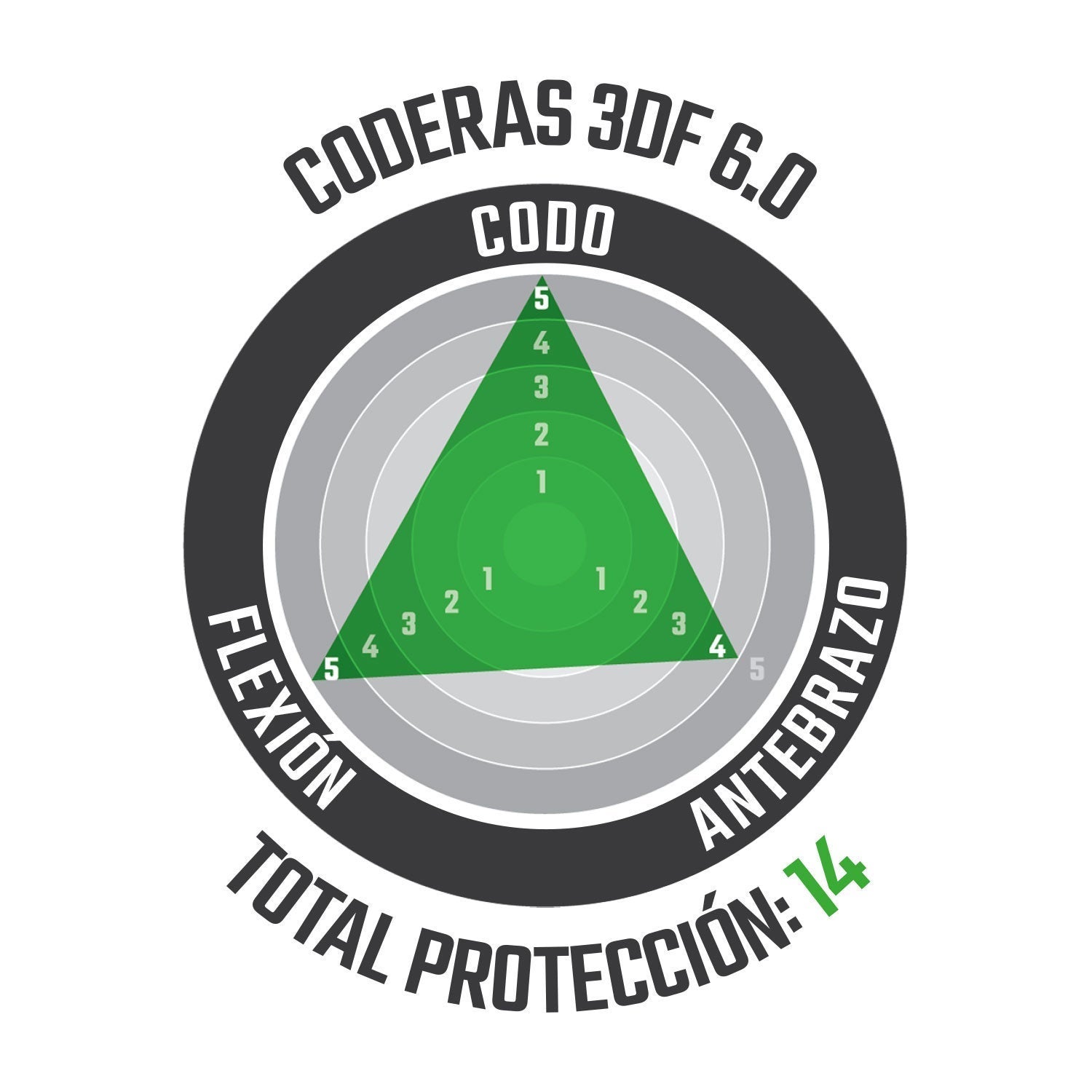 Coderas 3DF 6.0