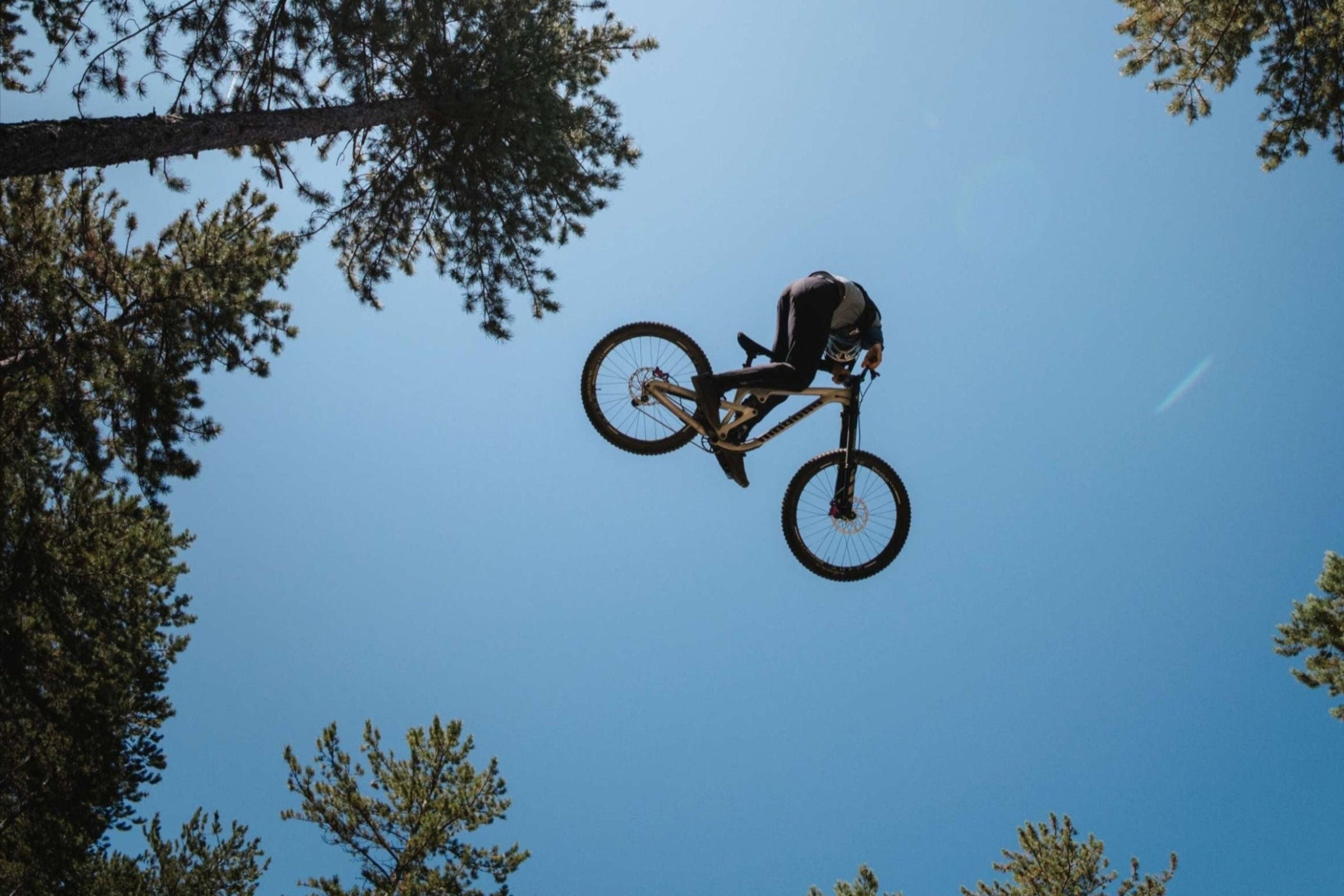 Ideas Regalo por Menos de 500 Euros